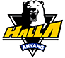 File:Anyang halla logo.png