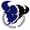 Basingstoke Buffalo logo.png