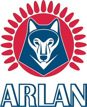 File:Arlan Kokshetau Logo.png