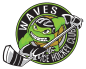 Waves Ice Hockey Club