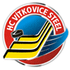 File:HC Vítkovice Steel.png