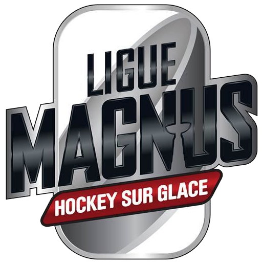 File:Ligue Magnus 2013 logo.png