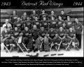 Detroit Red Wings