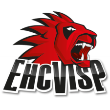 EHCVispLogo new.png