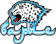 Barys Astana Logo.png
