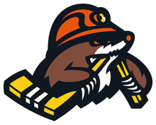 HC Shakhtyor Soligorsk logo.png