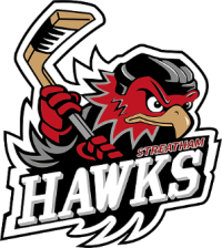 Streatham Hawks Logo.png