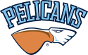 Lahti Pelicans logo.png