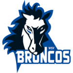 WSV Sterzing Broncos logo.png