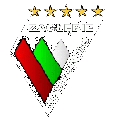 Logo HC Zaglembie Sosnoviec.gif