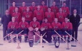 1967-68 team