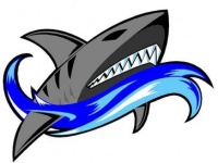 Perth Sharks Logo.jpg