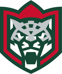 Ak Bars Kazan logo.png