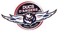 Ducs d'Angers logo.png