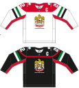 United Arab Emirates national ice hockey team Home & Away Jerseys.png