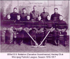 Winnipeg 223rd Battalion