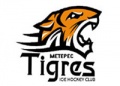 Tigres de Metepec
