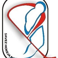 SRB logo.jpeg